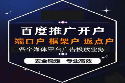 百度推广案例：精准广告投放策略解析
